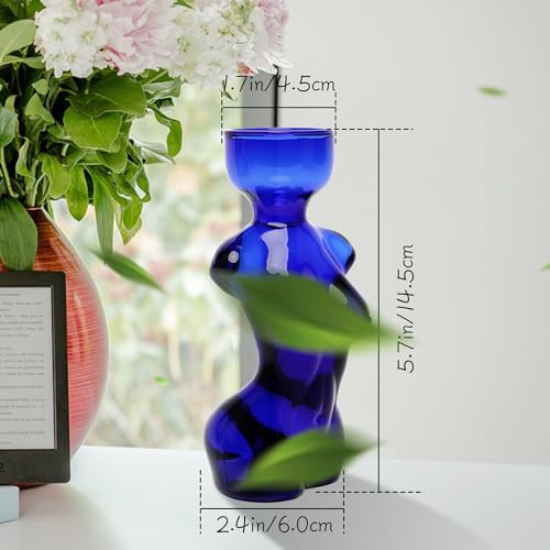 Propagation Vases for Plants Plant Propagation Jars Unique Body Avocado Vase Glass Planter Perfect for Seed Starting Water Rooting and Home Decor Gift for Father - color: Grey Blue