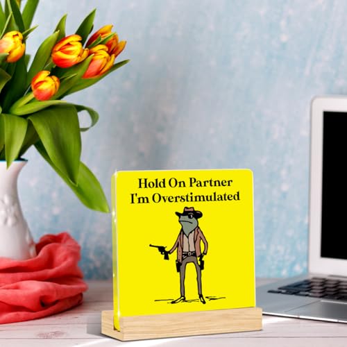 Funny Office Decor Funny Office Gifts Hold On Partner Im Overstimulated Sign Work Desk Decor Acrylic Humor Gifts for Women Men Coworker Friend Home Office Decorations - color: Hold On Partner I'm Overstimulated