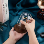 PH PandaHall Pocket Watch Display Dome Cloche with Hook 4.2"x4" Watch Display Jar Decorative Glass Display Case with Wood Base Plants Showcase for Watch Plants Medals Collectibles Ornaments - size: 4.2x4 Inch