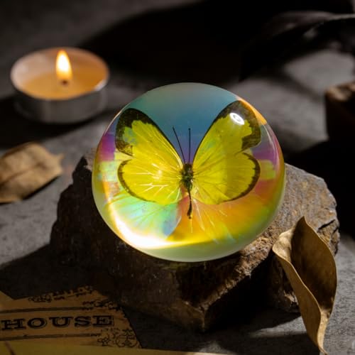 Real Butterfly Specimen in Iridescent Dome Resin - Random Seasonal Butterfly for Science Education, Biology Study, Oddities Collectors, and Nature Enthusiasts (2.5 x 1.3 Inches) - color: Butterfly Specimen (2.5" X 1.3")