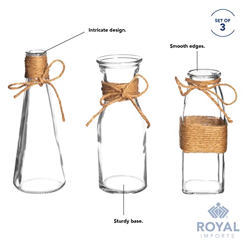 Royal Imports Clear Glass Bottle Bud Vase, Small Single Stem Flower Centerpiece, Mini Decorative Floral Jars, Rustic Farmhouse Home Decor, Kitchen, Fireplace, Shelf, Narrow One Rose Holder, Set of 3 - size: Large (Set of 3)