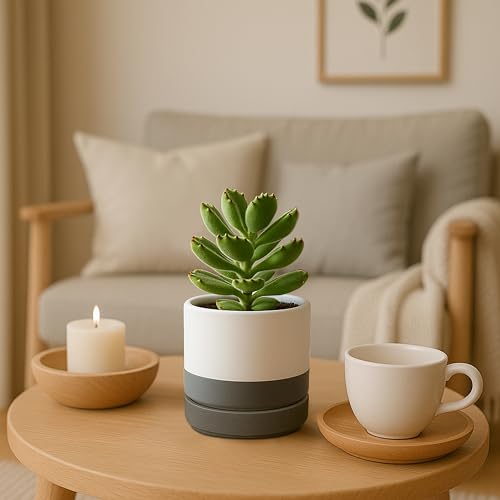 D'vine Dev Set of 2 Plants Pots, 4.7 Inch Ceramic Planter Pot for Plants with Drainage Hole and Saucer, White/Speckled Grey, 94-V-B-6 - color: White/Speckled Grey, size: 4.7 Inch