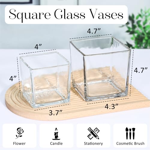 KEYWING 6 Pack Square Glass Vase 5" x 5" x 5", Clear Flower Vases for Centerpieces, Square Flower Vase Candle Holder for Wedding, Party, Home Office Decoration - size: 5 Inch