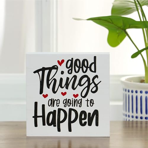 Double-Sided Wooden Box Sign, But Did You Document It Office Decor 2-in-1 Sayings Wood Block Signs, 5x5 Inches Reversible Table Centerpiece Decorations for Desk - color: 2-in1