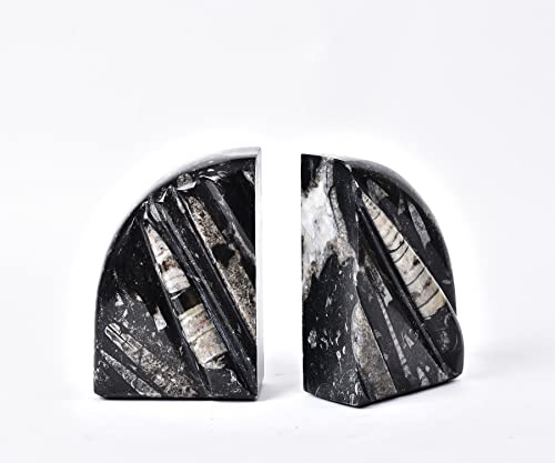 AMOYSTONE 1Pair Heavy Duty Strong Bookends for Shelves, Natural Orthoceras Fossil Heavy Duty Bookends 6-8 LBS for Home Kitchen, Decorative Bookcase (Height 6.2") - color: Black & White C, size: 6-8 Lbs