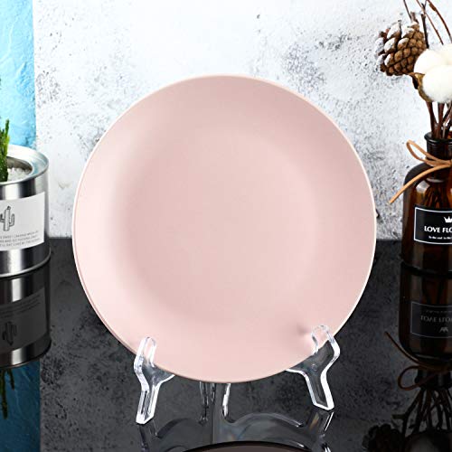 HESTYA 8 Pcs Clear Acrylic Easels Plate Stands Holders to Display Pictures or Other Items for Display Decoration (4.5 Inch)