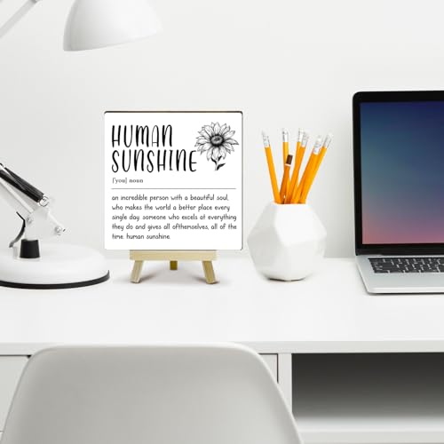 Home Office Decor, Human Sunshine Definition Desk Decor, Employee Appreciation Gifts, Admin Professionals Day Gifts, Teacher Mentor Gifts (MP08) - color: MP08