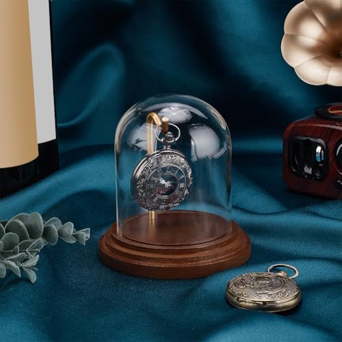 PH PandaHall Pocket Watch Display Dome Cloche with Hook 4.2"x4" Watch Display Jar Decorative Glass Display Case with Wood Base Plants Showcase for Watch Plants Medals Collectibles Ornaments - size: 4.2x4 Inch