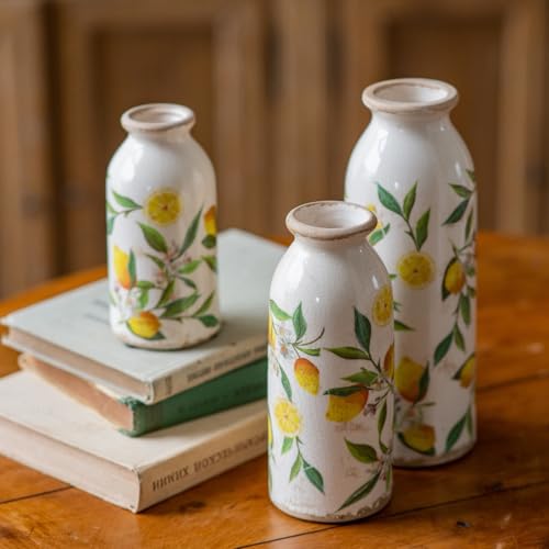 Teweiqi Vintage Vase Set of 3, Ceramic Flower Vases Decor, Rustic Farmhouse Vases Retro Decorative Vases, for Home Living Room Kitchen Table Mantle Shelf Decor - Lemon - color: Lemon, size: set of 3