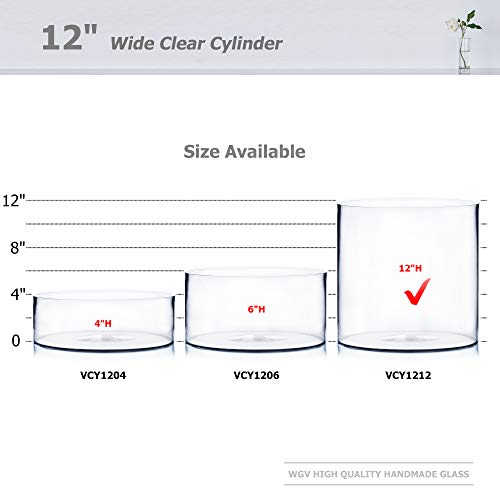 WGV Cylinder Vase, Width 12", Height 12", Clear Wide Large Diameter Flower Glassware, Floral Container, Planter Terrarium for Wedding Party Event, Home Accent Decor, 1 Piece - size: 12"x12"H