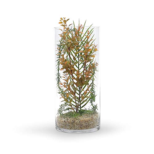 WGV Cylinder Vase, Width 7", Height 16", Clear Wide Large Diameter Flower Glassware, Floral Container, Planter Terrarium for Wedding Party Event, Home Accent Decor, 1 Piece - size: 7"x16"H