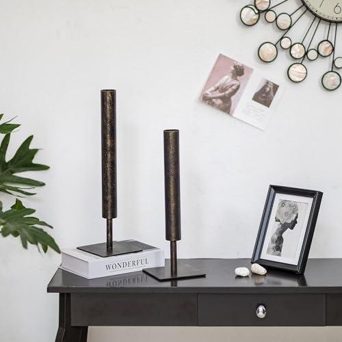 Sziqiqi Black Single Stem Vase Set - 15.5/13.8in Metal Large Flower Vases 2 Pcs Modern Vase for Home Decor Living Room Table Decorative Slim Vases for Pampas Grass Feathers Twigs Branches - style: Black Single Stem Vases