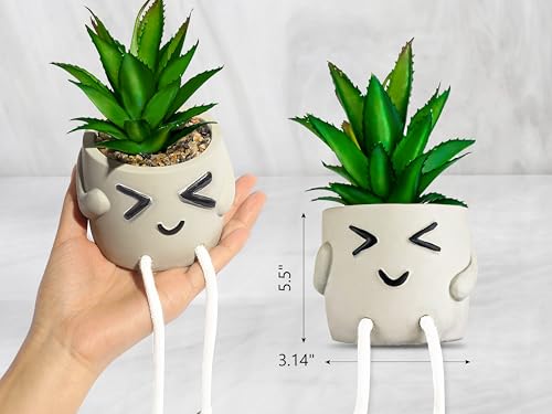 OLEEK small fake plants office decor - fake succulents plants artificial for desk decor - fake plant office decorations for work - office decor for women - office plants cubicle accessories room décor - size: Fuzz (Set of 1)