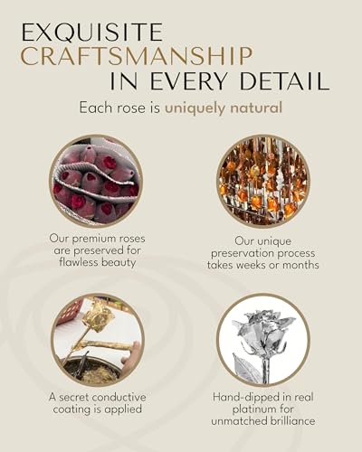 Forever Rose The Platinum Dipped Rose, Custom Laser Engraved Platinum Flower in an Elegant Glass Vase & Gift Ready Box, Handcrafted Luxury Anniversary, Birthday, Wedding or Valentine’s Keepsake - color: Platinum