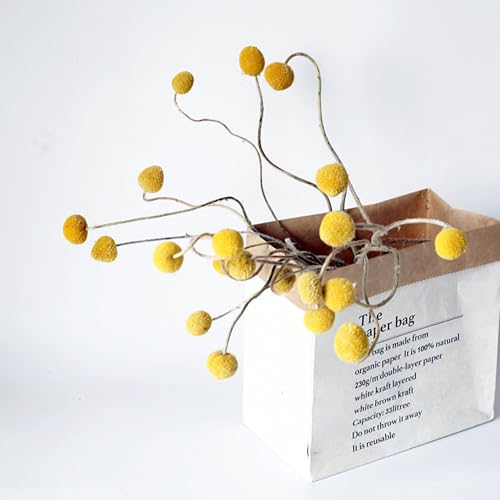 20 Stems Natural Dried Craspedia Billy Balls - 17" Golden Yellow Ball Flowers - Dried Flower Arrangement for Boho Wedding Farmhouse Decor - Vase Centerpiece Filler - DIY Dried Bouquet Home Decor