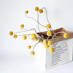 20 Stems Natural Dried Craspedia Billy Balls - 17" Golden Yellow Ball Flowers - Dried Flower Arrangement for Boho Wedding Farmhouse Decor - Vase Centerpiece Filler - DIY Dried Bouquet Home Decor