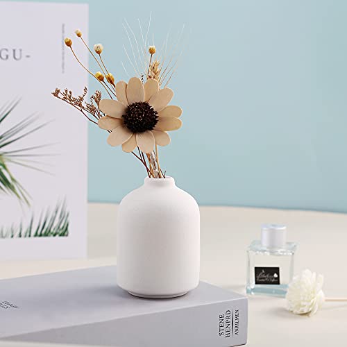 Ceramic Vase for Home Decor,Ceramic Vase, Dried Flower Vase, Living Room Decoration, Flower Arrangement Decoration Shooting Props(White)