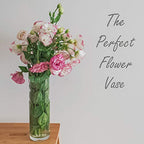 CYS Excel (H:16” D:4”) Tall Clear Glass Cylinder Vase | Multiple Size Choices Glass Flower Vase Centerpieces | Tall Hurricane Floating Candle Holder - size: H-16" D-4"