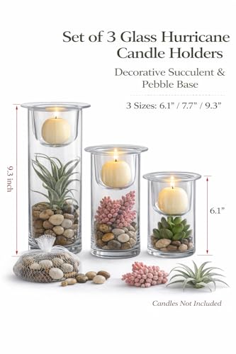 KMwares Glass Cylinder Candle Holders Set of 3 with Artificial Succulent and Decorative Stones, Hurricane Candle Holder Centerpiece for Table, Wedding, Bathroom and Home Decor (Candles Not Included)