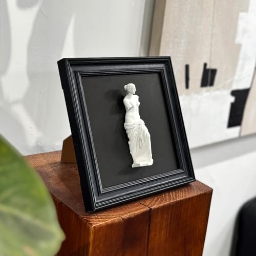FOLKOR LIFE Framed Black and White Wall Art Sculpture Venus, Greek Roman Mythology Goddess Aphrodite Statue Framed Plaster Relief Wall Decor for Room, Hallway, Entryway, Housewarming, New Home Gift - color: Statue of Venus