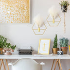 Peryiter 2 Pcs Boho Wall Decor Metal Gold Wall Art Hanging Planters with Artificial Pampas Modern Home Decor Display Art for Living Room Bedroom Bathroom(Hexagon) - style: Hexagon