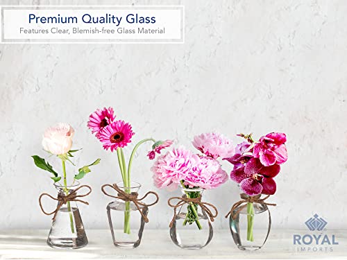 Royal Imports Clear Glass Bottle Bud Vase, Small Single Stem Flower Centerpiece, Mini Decorative Floral Jars, Rustic Farmhouse Home Decor, Kitchen, Fireplace, Shelf, Narrow One Rose Holder, Set of 4 - size: Small (Set of 4)