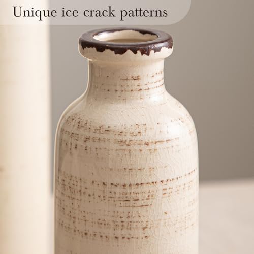 Ceramic Vase Set of 3 White - Ice Creak Bud Vases Set for Flower Centerpieces Decor - Vintage Samll Vase for Pampas Grass - Modern Decoration for Home Farmhouse Table Office, Mini Vase by Lyeec - color: 202-2