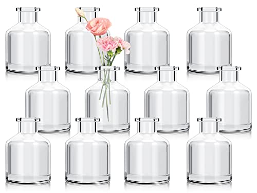 12Pcs Bud Vases,Clear Glass Bud Vase,Living Bud Vases Bulk,Mini Flower Vases,Small Vases for Flowers Centerpieces Home Living Room Office Table Decor (2 x 2.8 in)