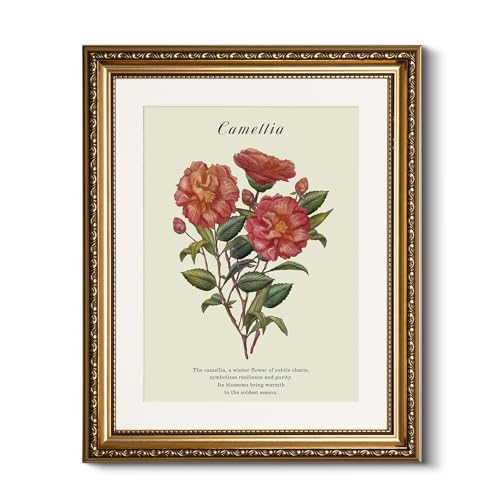 HUARCEY Vintage Camellia Floral Framed Canvas Wall Art 13x16, Embossed Gold Frame Classic Botanical Flower Illustration Print, Elegant Traditional Living Room Bedroom Home Decor - color: Camellia, size: 16"L x 13"W