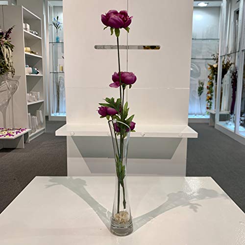 WGV Maria Bud Vase, Width 3", Height 15.75", Clear Tall Slant Cut Opening Gathering Concaved Glass Floral Container Centerpiece for Wedding Party Event Home Office Decor, 1 Piece - size: 3"x16"H Maria