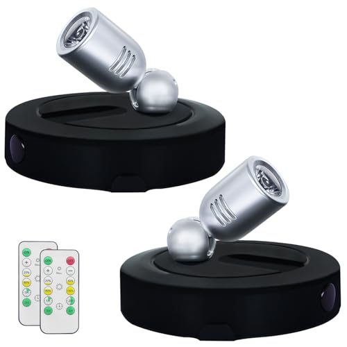 HAMVIDNE Spotlight Indoor, Battery Powered Spot Lights with Remote, Plant Uplights, Timer Dimmable Tree Spotlights, Picture Light for Wall Art Display Dartboard Painting Artwork Accent-2Pack - color: Black-Silver