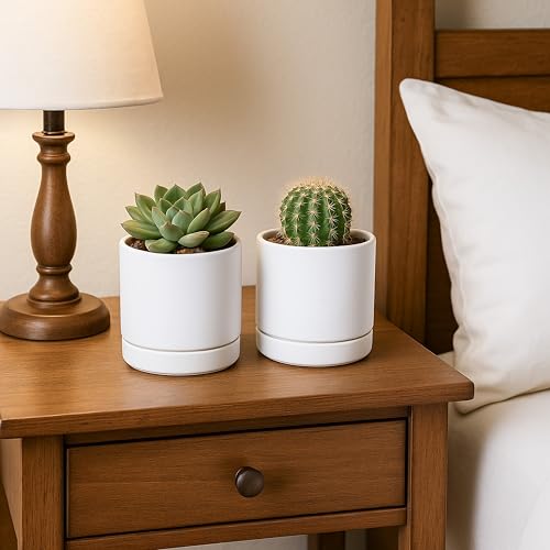 D'vine Dev Set of 2 Plants Pot, 4.7 Inch Ceramic Planter Pot for Plants with Drainage Hole and Saucer, White, 94-V-B-1 - color: White, size: 4.7 Inch