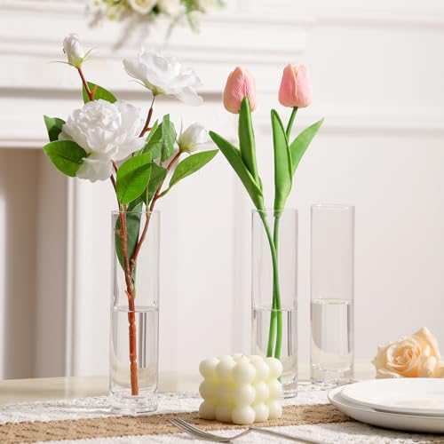 Clear Glass Cylinder Bud Vases,Small Clear Skinny Single Flower Vase for Centerpieces - Minimalist Bulk Vases for Wedding Birthday Bridal Shower Party Events Table Decor (6)