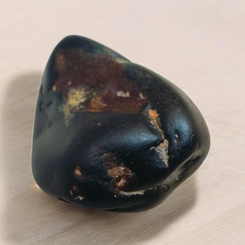 Rare Lakshmi Narayan Shaligram Shila Stone 2" inch from Gandaki River Nepal – 1 Pc Black Shaligram Ji for Pooja, Hindu Rituals, Spiritual Decor & Religious Gifts