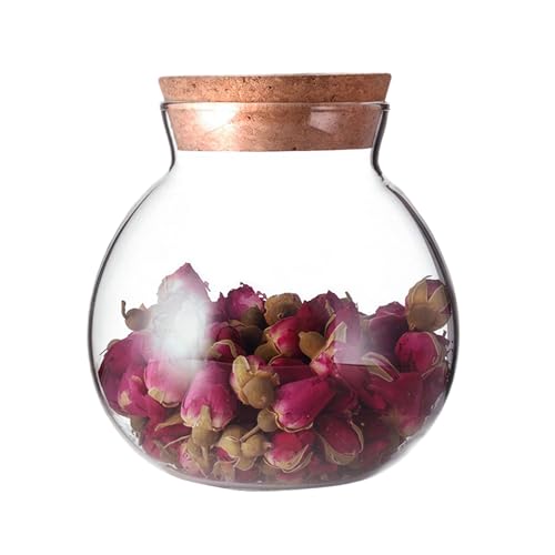 VASANA Airtight Clear Round Glass Jar with Cork Tea Caddy Container Vase Eco Bottle Small Ball Moss DIY Canister for Kitchen Storage Home Decoration 500ml 17oz