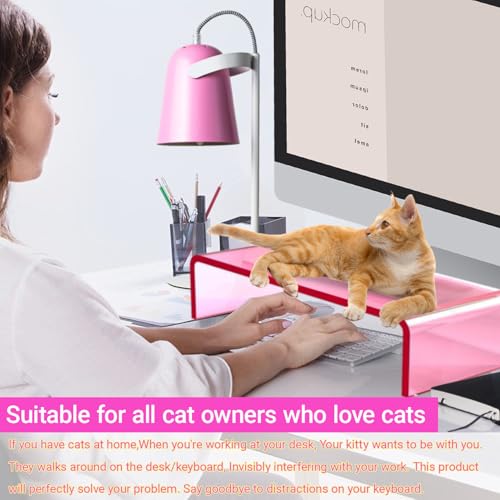 Ergonomic Acrylic Monitor Stand with Storage - Bright Pink Desktop Organizer for Back Pain Relief & Space Saving, Stylish & Modern Desktop Organizer(Home/Office Use)