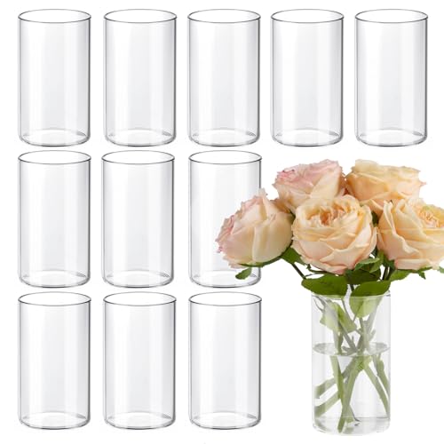 TBWIND 12pcs Glass Cylinder Vases for Centerpieces, 6 Inch Clear Flower Vases for Wedding Decorations and Indoor Home Decor, Hurricane Candle Holder for Table Shelf, Party - size: 12 Pack 6 Inch