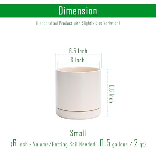 D'vine Dev Set of 2 Plants Pots, 6.5 Inch Ceramic Planter Pot for Plants with Drainage Hole and Saucer, Oatmeal, 94-V-C-8 - color: Oatmeal, size: 6 Inch