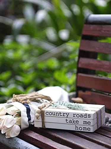 Lavender Inspired Decorative Books for Home Decor | Boho Chic Distressed Faux Books Set of 3 for Fireplace Mantle & Entryway Table Decor - color: Country Roads, Take Me Home