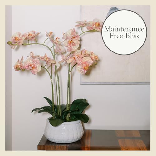 CG Hunter Faux Orange Orchid Plant, Premium Artificial Indoor Flower Display Stands 23”, Beautiful Sculptural Blooms That Lasts Forever, White Planter Pot Included - size: 23" Orange 4-Stem Orchid