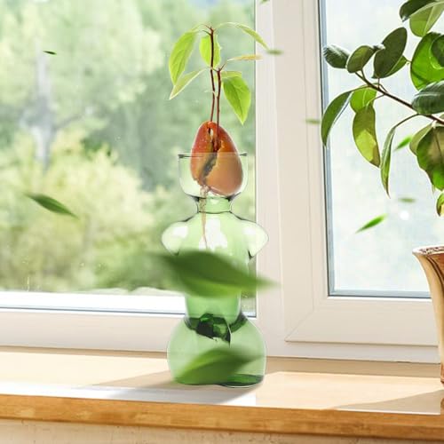 Propagation Vases for Plants Plant Propagation Jars Unique Body Avocado Vase Glass Planter Perfect for Seed Starting Water Rooting and Home Decor Gift for Father - color: Green