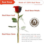 AliveRose Gold Dipped 24K Rose, 24K Gold Rose Made from Real Rose - Unique Design Gold Plated for Anniversary Valentines Mothers Day Birthday Gifts (Black Original with Crystal Vase) - color: 9. Black Original Rose With Crystal Vase