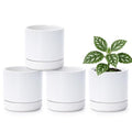 D'vine Dev Set of 4 Small Ceramic Plant Pots, 4.7 Inch Succulent Planter Pot for Plants with Drainage Hole and Saucer, White, 94-X-B-1 - color: White, size: 4.7 Inch