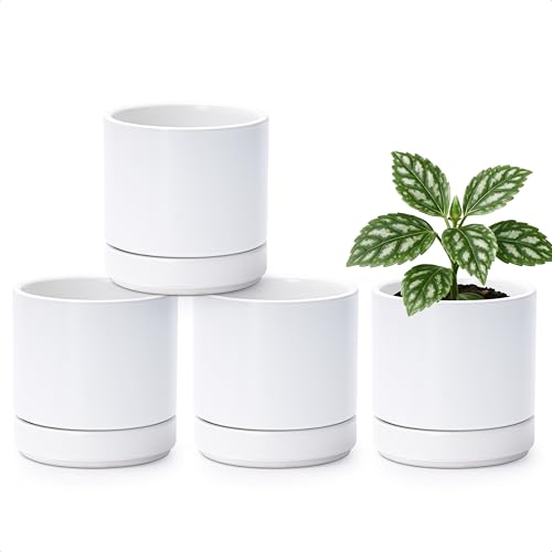 D'vine Dev Set of 4 Small Ceramic Plant Pots, 4.7 Inch Succulent Planter Pot for Plants with Drainage Hole and Saucer, White, 94-X-B-1 - color: White, size: 4.7 Inch