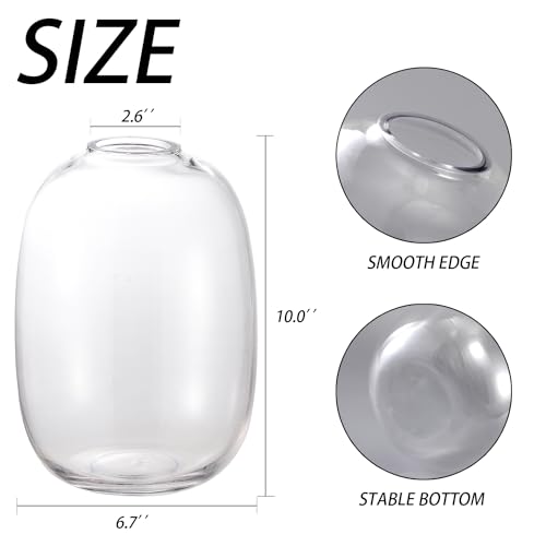 Large Glass Vase, 10 Inches Tall Glass Vases, Clear Glass Vase for Flower, Modern Round Vases for Living Room, Dining Table, Mantle, Shelf, Wedding, Office, Entryway - color: Clear