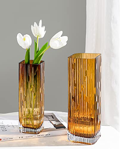 Modern Minimalist Glass Square vase, Crystal Glass vase, vase, Dry vase (Amber) - color: Amber