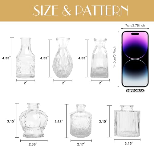 Petal Petite Glass Vase Set of 6 Small Clear Glass Bud Vases, Mini Vintage Flower Vases for Wedding Centerpieces & Table Décor, Champagne Vases in Bulk for Single Stem, Home and Office Decor - color: Clear