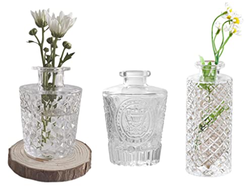 Set of 3 Mini Clear Glass Vase,Small Flower Bud Vase Hydroponics Planter Decorative for Flower,Table,Party,Home,Centerpieces(Clear 2) - color: Clear 2