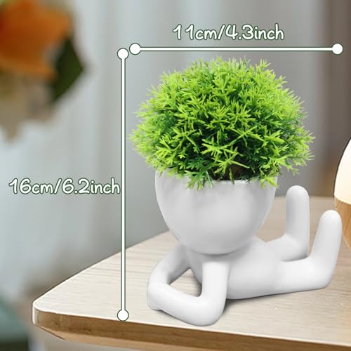 Zerzsy Mini Succulent Plant - Plants Gift - Cute Desktop Decoration Desk Decorations for Women Office -Small Plants Shelf Decor-Cute Cubicle Accessories-Set of 1 - color: White-g