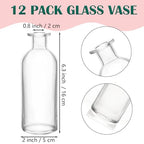Nexboraque 12 Pack Glass Bud Vases, Clear Small Vases in Bulk Decorative Glass Flower Bottles for Table Centerpiece, Home Decor, Office, Wedding Reception